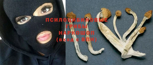 Альфа ПВП Медногорск