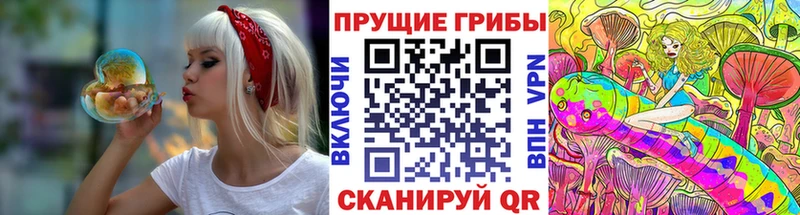 Псилоцибиновые грибы мицелий Купить где Киселёвск